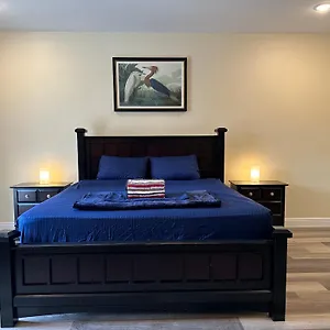 Homestay River Palace, Tampa